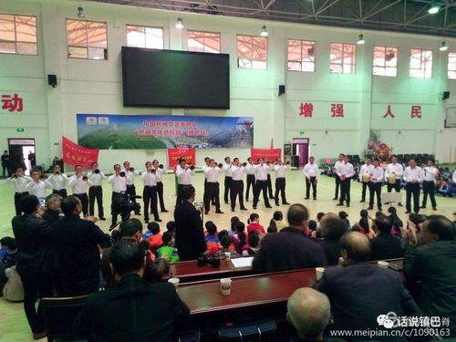 民間文藝綻放校園，文化傳承走進(jìn)鎮(zhèn)巴——中國民間文藝家協(xié)會‘民間文化進(jìn)校園’活動紀(jì)實(shí)